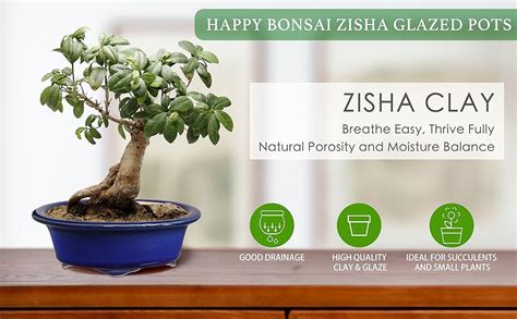 From clay to Bonsai Pot - Bonsai Empire - muktibox.com