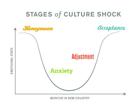 From Culture Shock to Cultural Adaptation: How to … - balustradellc