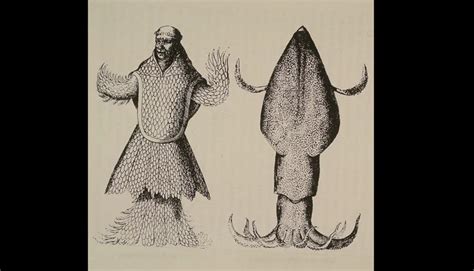 From Mermen to Architeuthis, Our Fascination with the … - balustradellc