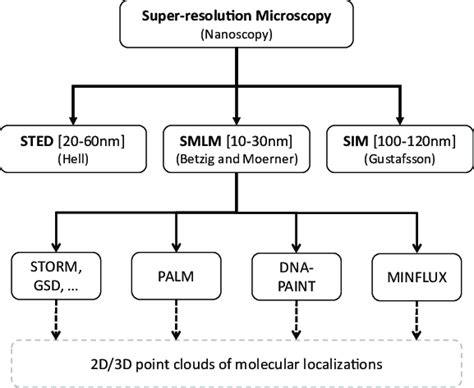 From Microscopy to Nanoscopy: Contemporary Physical Methods in ... - wintechmobiles.com
