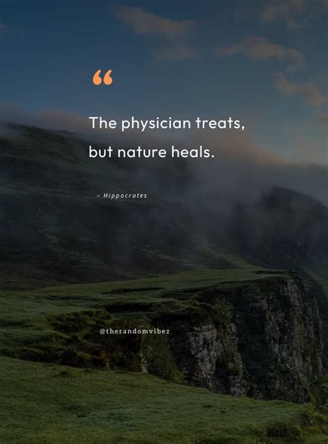 From Mountains to Mindfulness: How Nature Travel Heals and Inspires - balustradellc