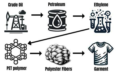 From petroleum to pollution: the cost of polyester - raincitystudios.com