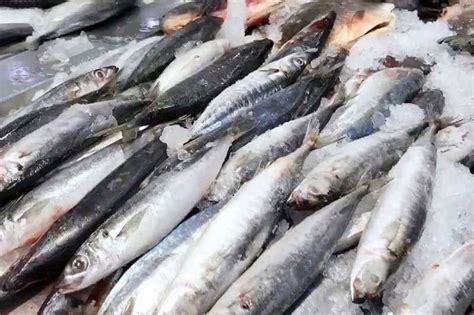 FROM PHILSTAR: Importation of fish, seafood products …