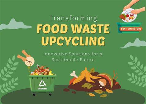 From plate to palate: Sustainable solutions for upcycling food waste in ... - raincitystudios.com