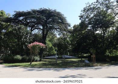 From Royal Garden to Public Park - The … - raincitystudios.com