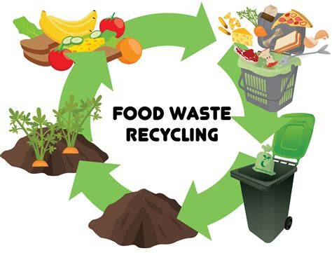 From Scraps To Resources: Creative Ways To Utilize Your Food Waste Bin ... - raincitystudios.com