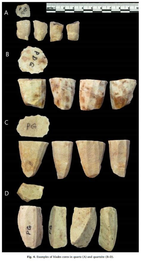 From stone to tool: how raw materials influenced Upper Palaeolithic ... - wintechmobiles.com