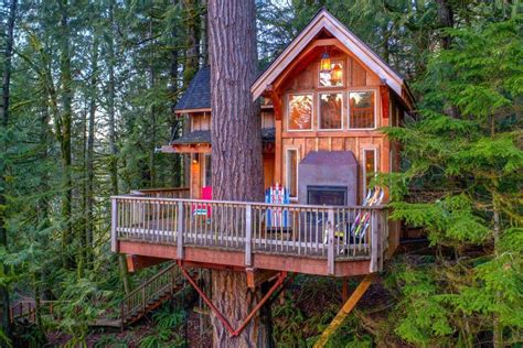 From Tree to Home Amazing Tree House Build Timelapse ... - balustradellc