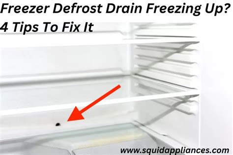 Front Defrost problems - Impala Forums - coolestguyplanet.net