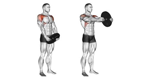 Front Plate Raise | Exercise Guide (Video & Form Tips) | Fitzport - balustradellc