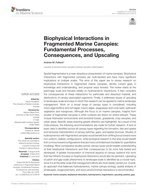 Frontiers | Biophysical Interactions in Fragmented Marine Canopies ... - raincitystudios.com