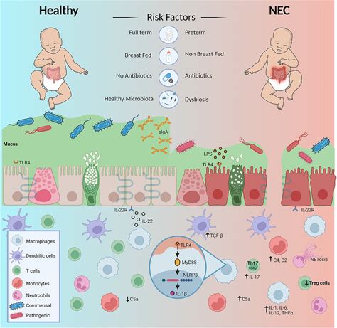Frontiers | Editorial: New insights into the influences of soil ... - raincitystudios.com