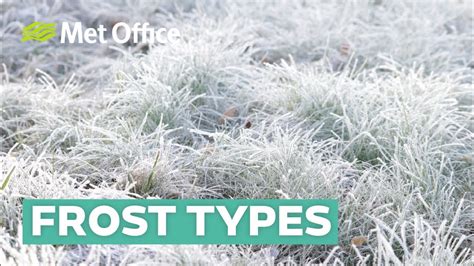 FROST What is Frost How Frost is Formed Types of Frost Which