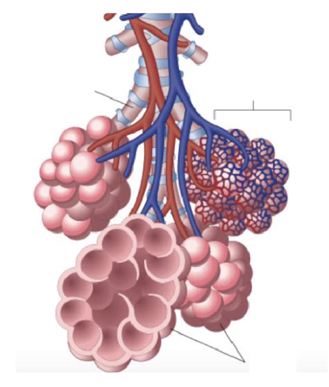 FRQ 8.3 Flashcards | Quizlet - wintechmobiles.com