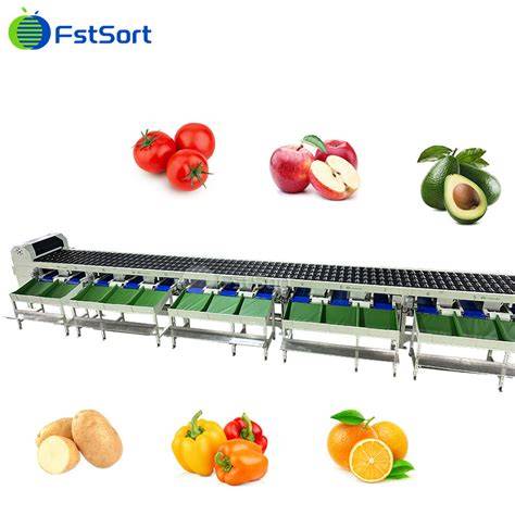 Fruit processing machine, vegetable sorter manufacturer - raincitystudios.com