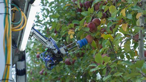 Fruit Production and Harvesting - Penn State Extension - raincitystudios.com