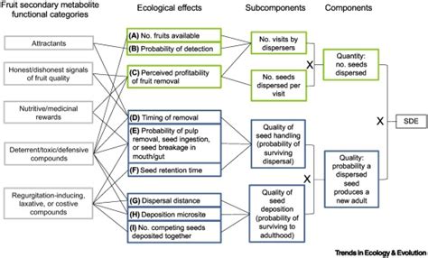 Fruit secondary metabolites shape seed dispersal effectiveness - raincitystudios.com
