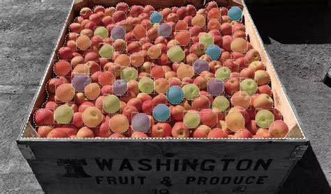 Fruit-tech startup picks business golds - Farmers Weekly - raincitystudios.com