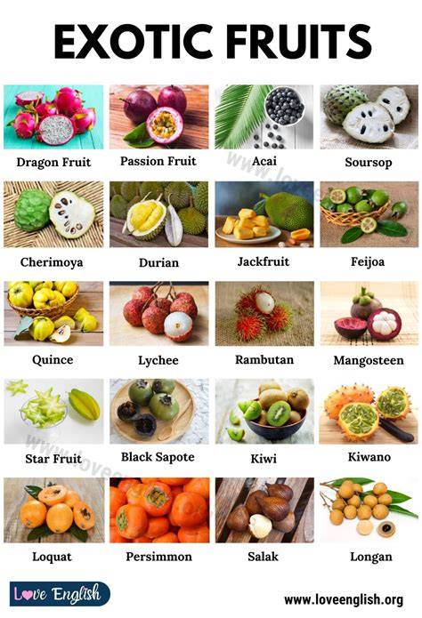 Fruits from the World - raincitystudios.com