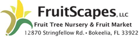 Fruitscapes LLC - Offering the Largest Mango selection … - raincitystudios.com