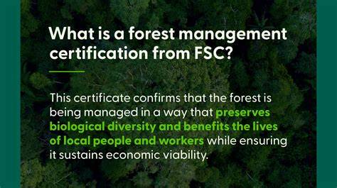 FSC – Complete Guide to Sustainable Forestry Certification - raincitystudios.com