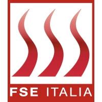 FSE ITALIA Srl on LinkedIn: Simulazione d