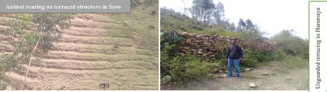 Full article: Analysis of farmers’ perceptions of bench terracing ... - raincitystudios.com