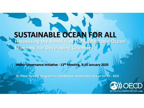 Full article: Developing big ocean system in support of Sustainable ... - raincitystudios.com