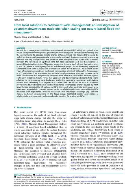 Full article: From local solutions to catchment-wide … - raincitystudios.com