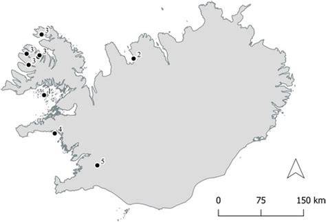 Full article: Underwater Archaeology in Iceland: Past Work, Current ... - raincitystudios.com