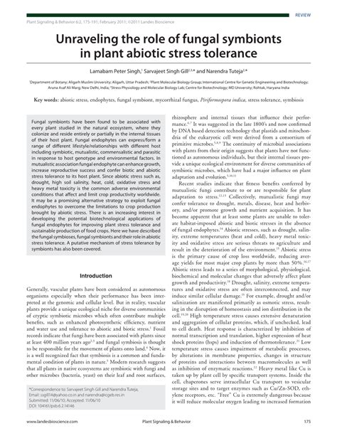 Full article: Unraveling the role of fungal symbionts in plant abiotic ... - raincitystudios.com