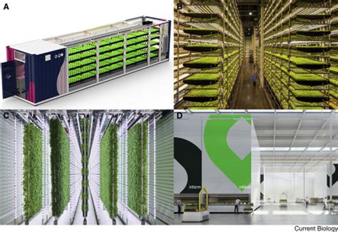 Full article: Vertical farming - smart urban agriculture for enhancing ... - balustradellc