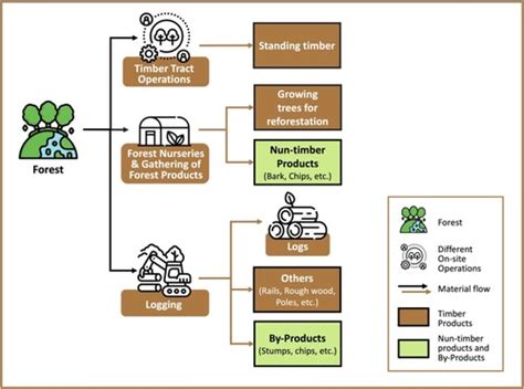 Full article: Wood-products value-chain mapping - raincitystudios.com