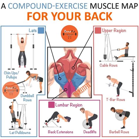 Full Back Workout at the Gym Best Exercises for Upper ... - Dailymotion - balustradellc