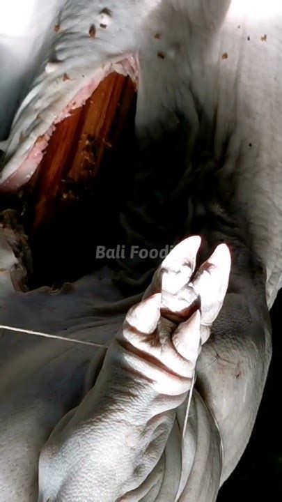 full pembuatan dalam 1 menit #nampan #nampankayu #woodworking … - balustradellc