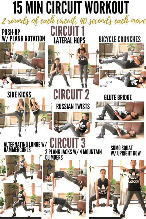 Full-Body Circuit Workout for Strength and Endurance - balustradellc
