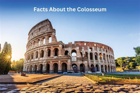 Fun Facts About The Colosseum In Rome - wintechmobiles.com