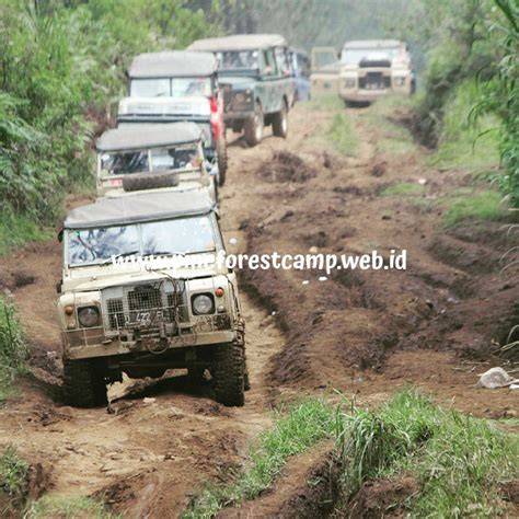 Fun Offroad Adventure – PINE FOREST CAMP - raincitystudios.com