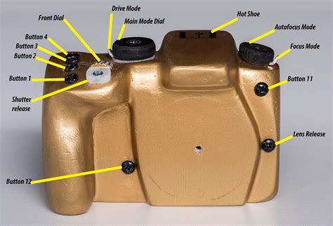 Functional anatomy of the camera Part 2 detailed description - balustradellc