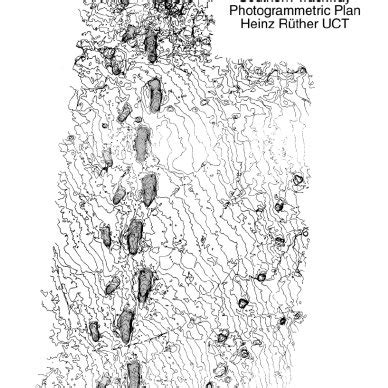 Functional Interpretation of the Laetoli Footprints - Springer - wintechmobiles.com