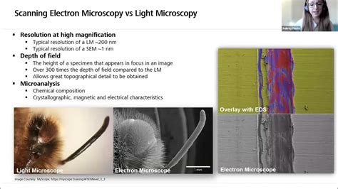 Fundamentals of Scanning Electron Microscopy in Life Science … - wintechmobiles.com
