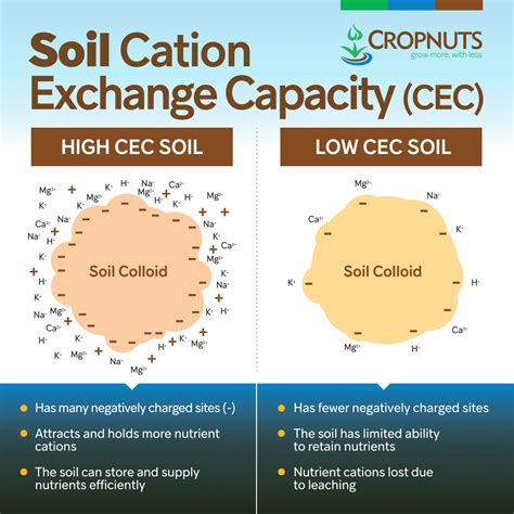 Fundamentals of Soil Cation Exchange Capacity (CEC) - muktibox.com