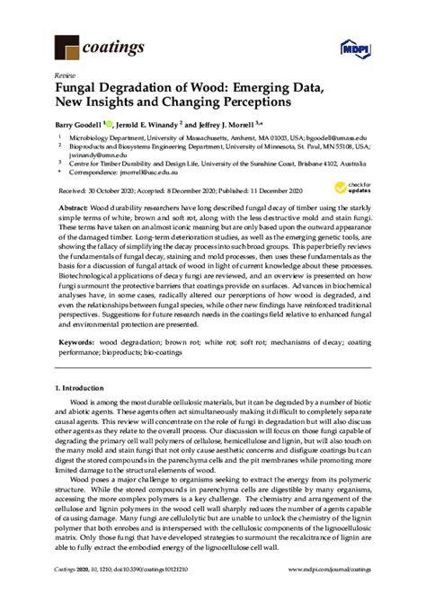 Fungal Degradation of Wood: Emerging Data, New … - raincitystudios.com