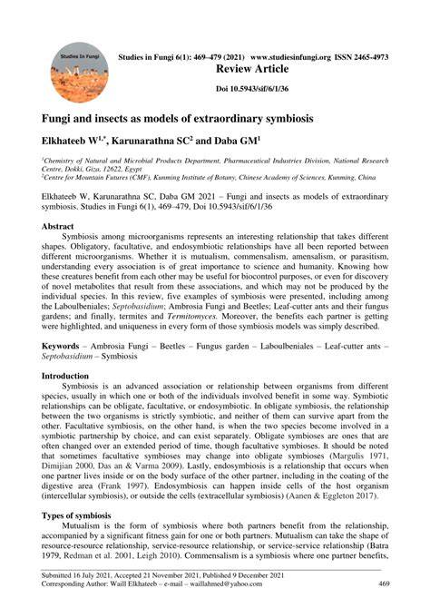 Fungi and Insect as models of extraordinary symbiosis - raincitystudios.com