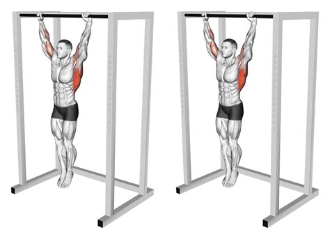 Fungsi Dead Hang - balustradellc