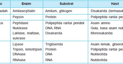 Fungsi Enzim dalam Sistem Pencernaan - Universitas Wira Buana - muktibox.com