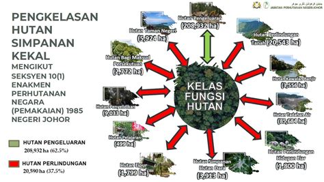 Fungsi Fungsi Hutan - muktibox.com