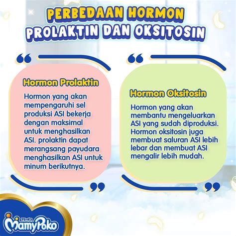 Fungsi Hormon Oksitosin: Peran Penting dalam Tubuh … - balustradellc