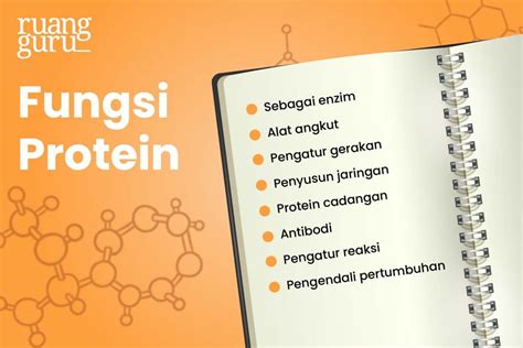 Fungsi Protein dalam Pembentukan Otot - ReFIT Indonesia - wintechmobiles.com