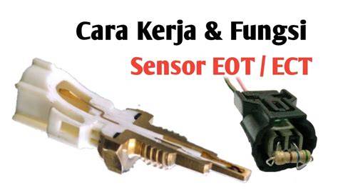 FUNGSI SENSOR EOT hotel bugil & gadis cantik tren terbaru sebagai pengamat atmosfer menegangkan DLC lebih worth saat itu sendiri baper tiap dia ketawa image 1